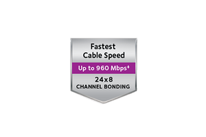 NETGEAR C6900 AC1900 High Speed Cable Modem Router
